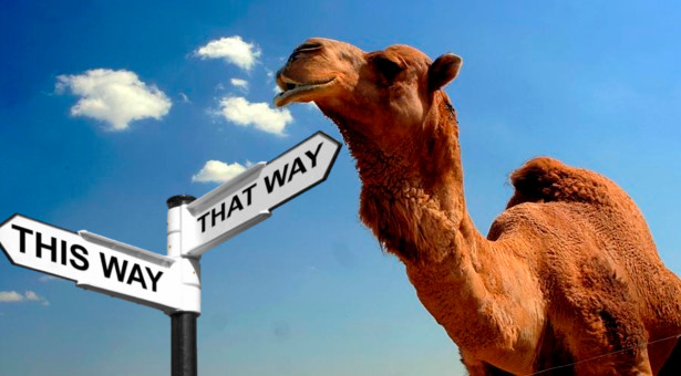 Smart LoadBalancing With Camel