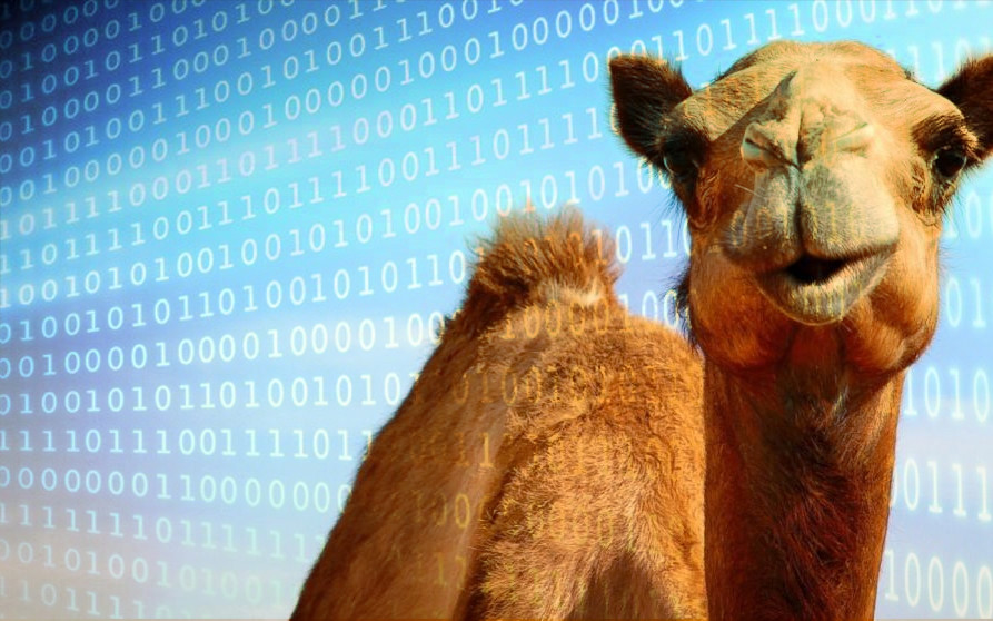 Calling Native Code With Camel