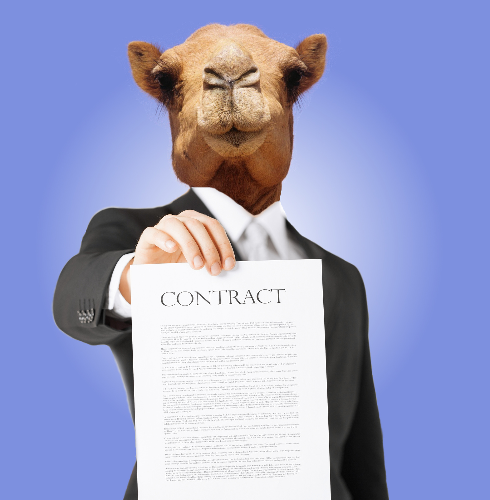 Camel CXFRS Contract First