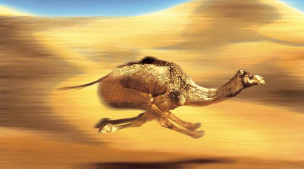 Faster File Consumption With Camel